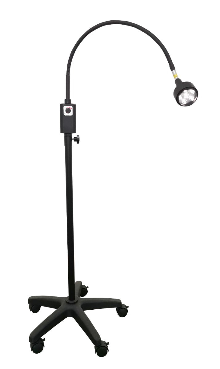 Deluxe Multi-LED Examination Light with Mobile Base & Wall Bracket | Black
