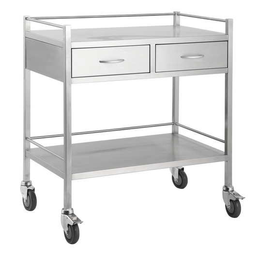 Stainless Steel Instrument Trolley with Two Side by Side Drawers 800mm x 500mm x 900mm